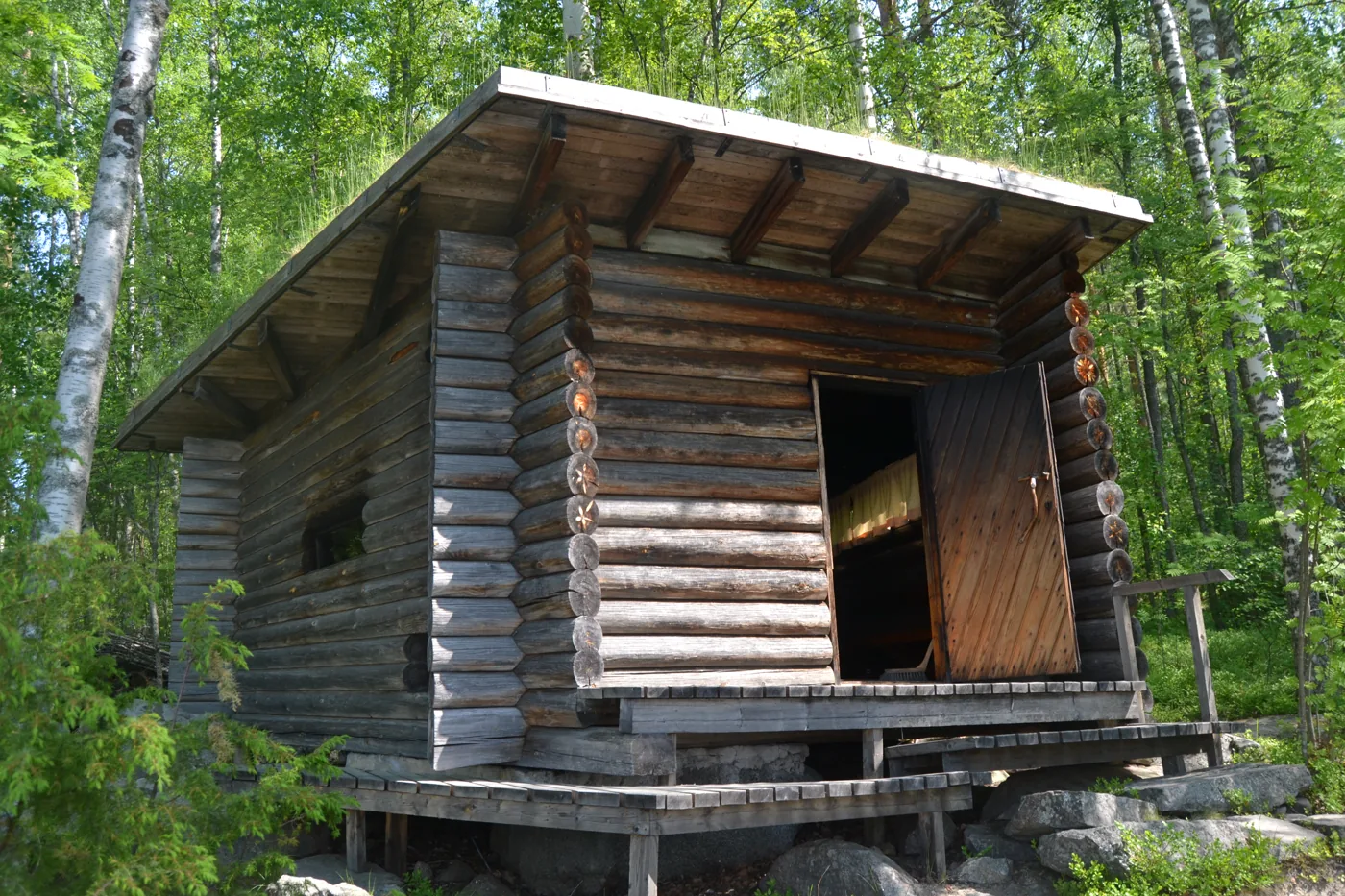 A small log smoke sauna among birch trees in Finland, with a sloping roof and its wooden door open