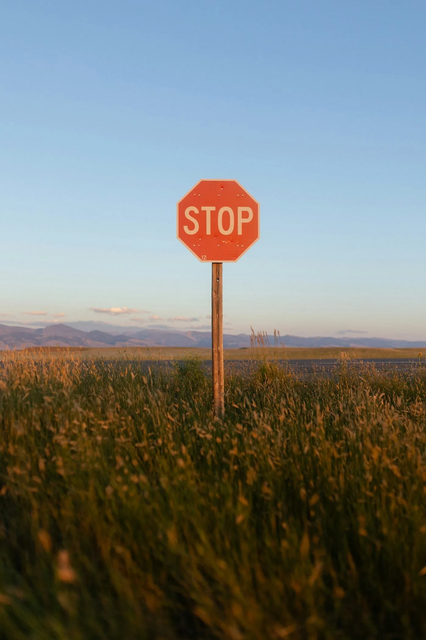Red stop sign in a green field