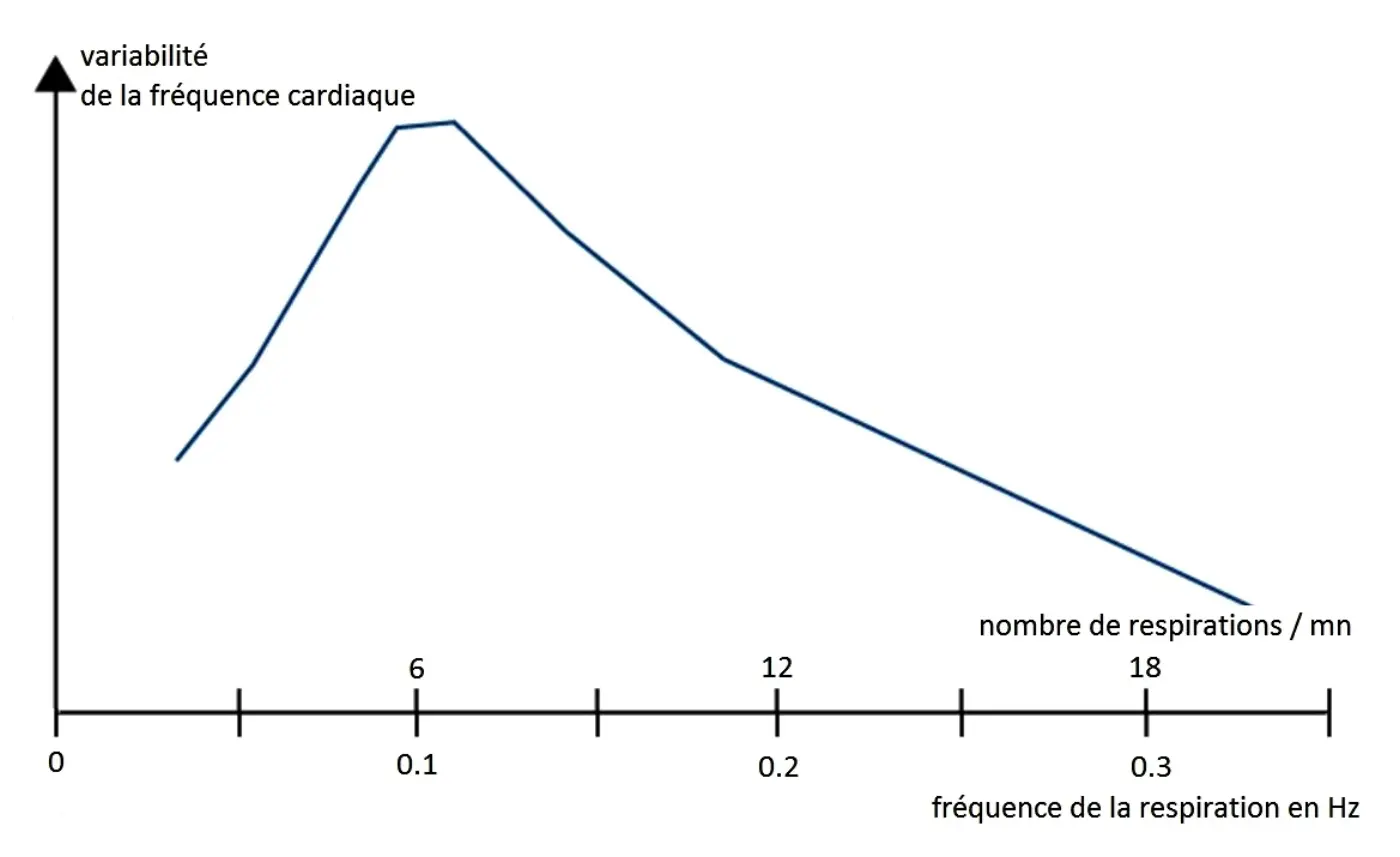 Gráfico de líneas que muestra la variabilidad de la frecuencia cardiaca alcanzando su máximo hacia las seis respiraciones por minuto y bajando a ritmos más rápidos