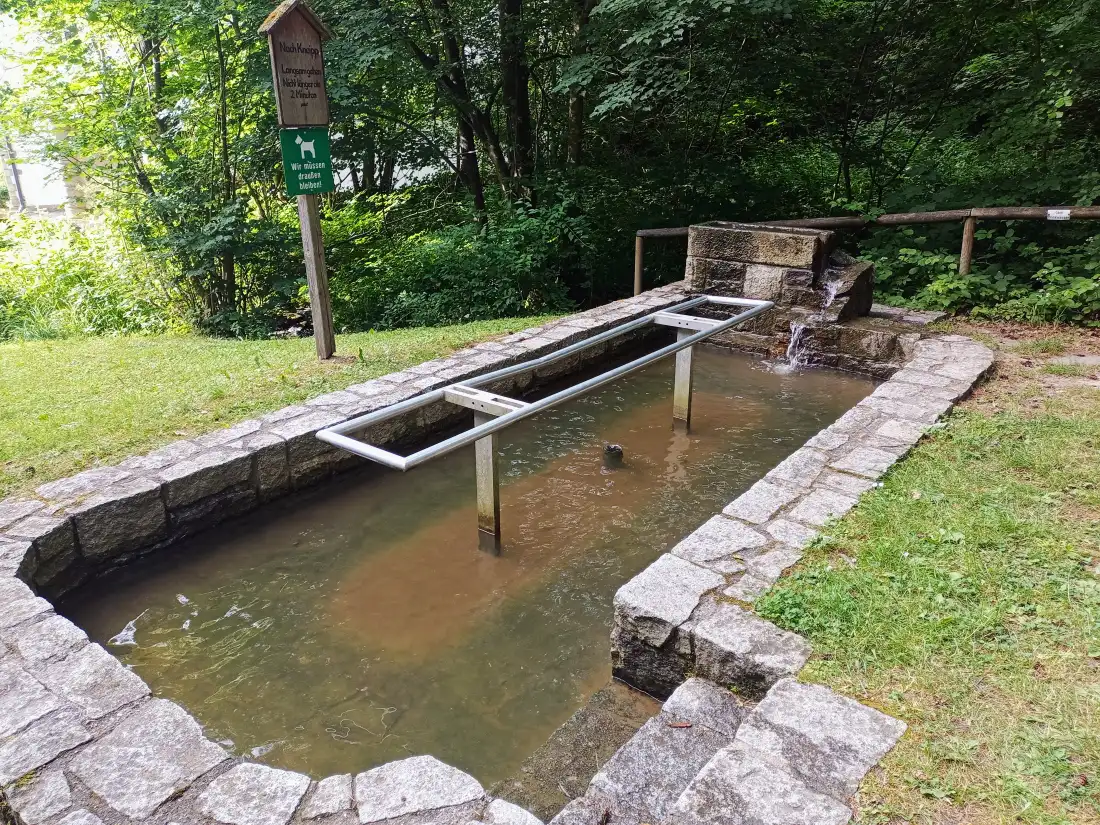 Stone-lined outdoor water basin with a metal handrail, fed by a stream, in a green forest park