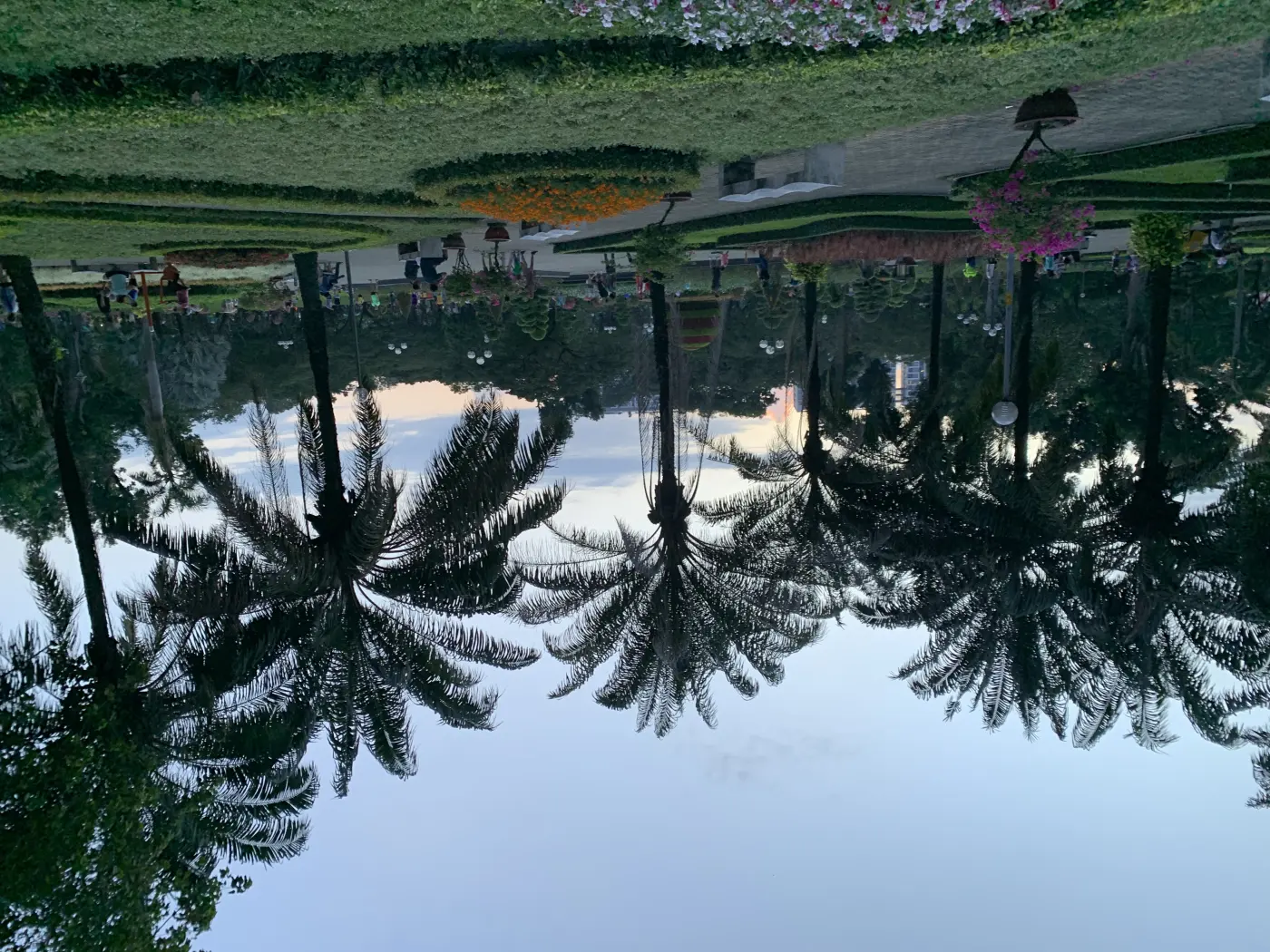 Palm trees, trimmed hedges and flower beds in Gia Định Park at dusk