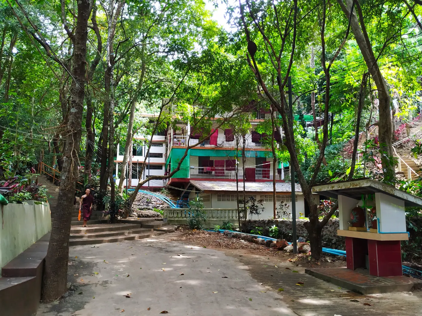 A monk in a maroon robe walking up a shaded path with steps towards buildings among tall trees at a forest monastery