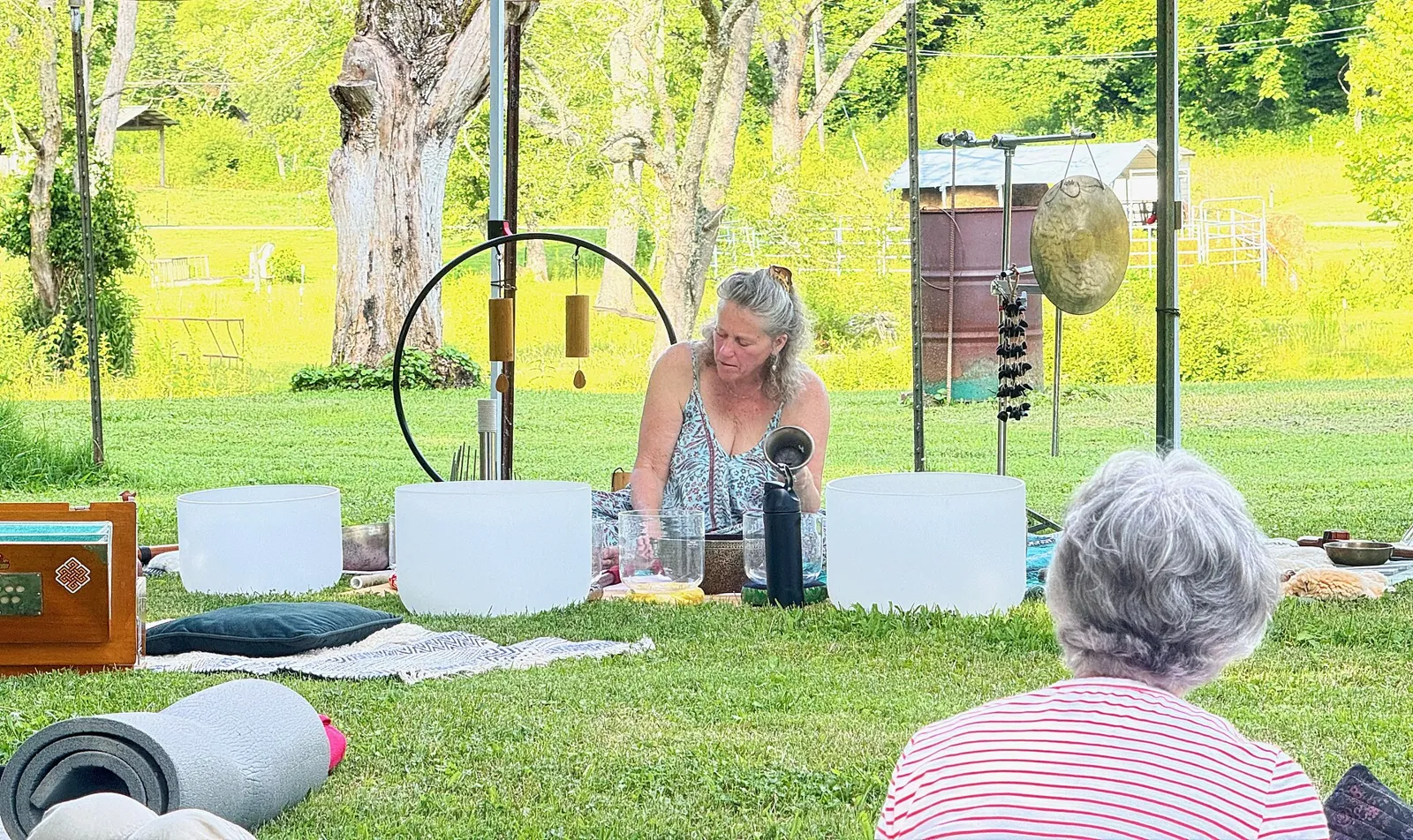 Practitioner seated on grass behind a row of white crystal singing bowls, with a gong and chimes on stands; listeners in the foreground.