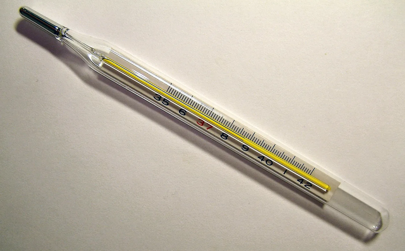 A glass clinical thermometer lying on a white surface, with the scale from 35 to 42 °C and 37 marked in red