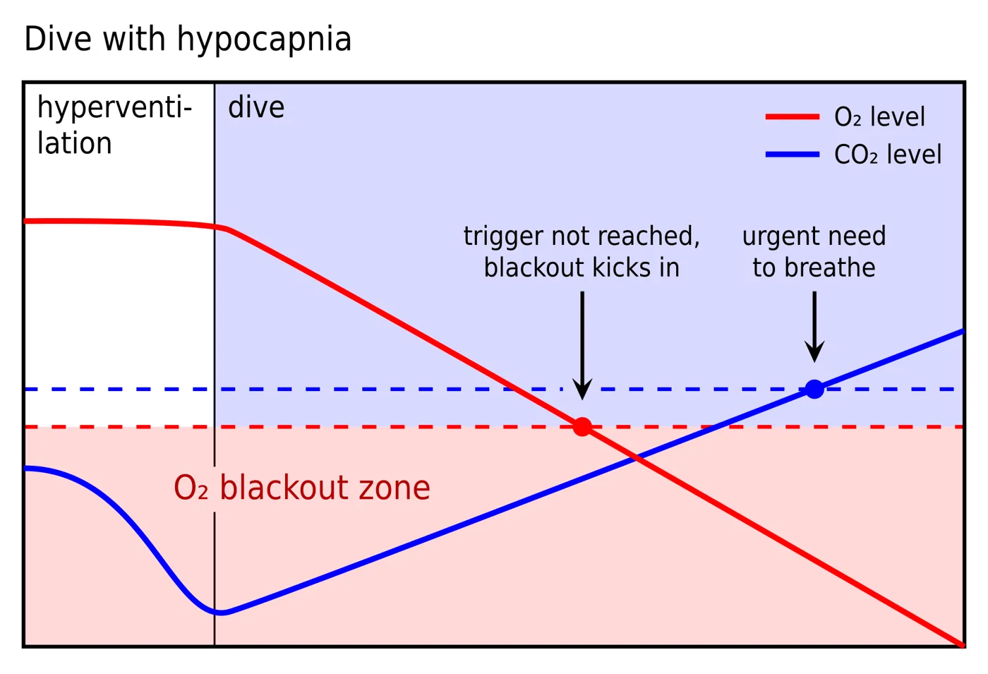 Diagram of oxygen and carbon dioxide levels during a breath hold after hyperventilation: carbon dioxide starts very low, so oxygen crosses into the blackout zone before the urge to breathe arrives