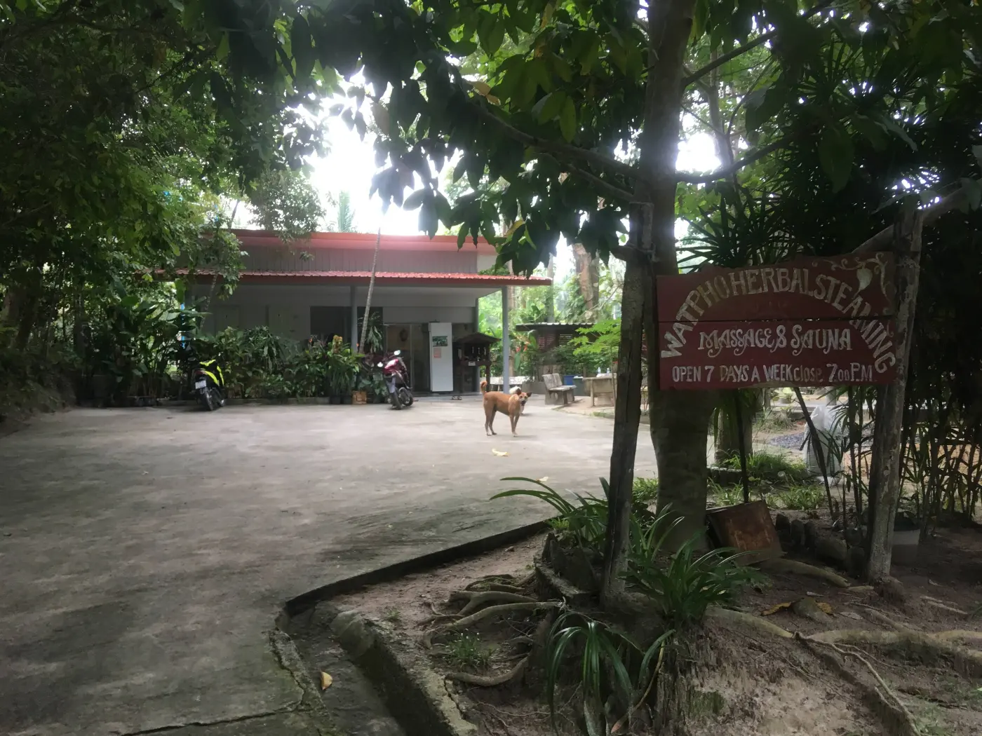 Un sauna à vapeur aux herbes tout simple au Wat Pho, sur l'île de Ko Pha Ngan, en Thaïlande